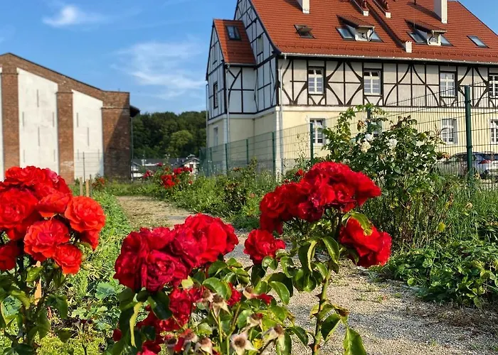 Parco vacanze Dworzysko