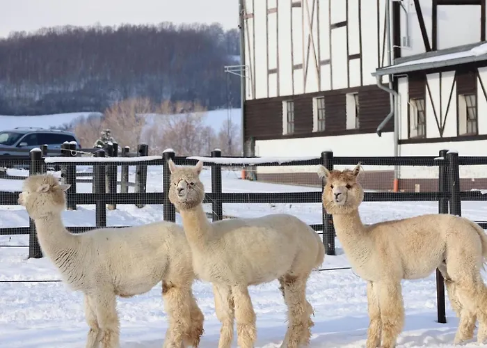 Dworzysko Parco vacanze 4*